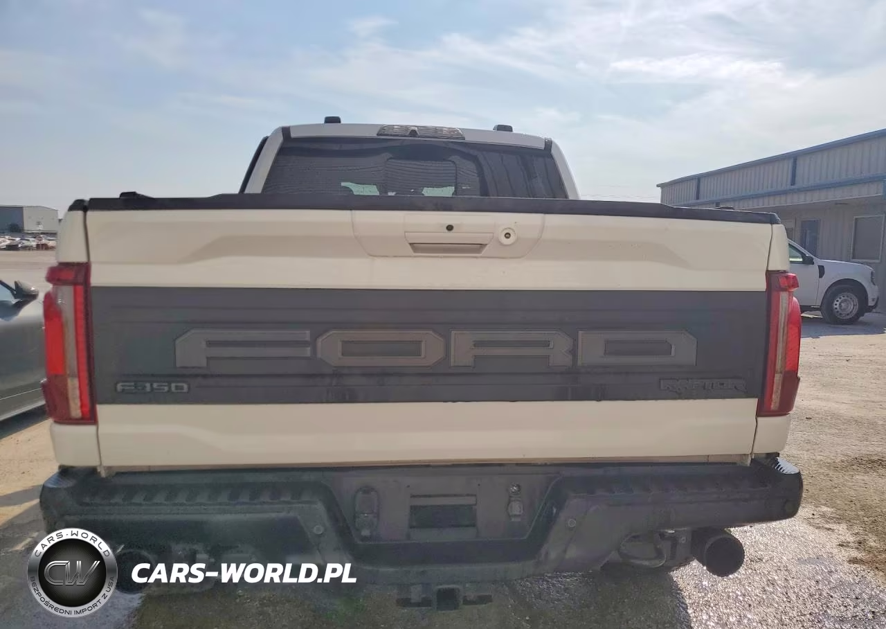 2025 Ford F150 Raptor VIN:1FTFW1RG7SFC59910 - 6