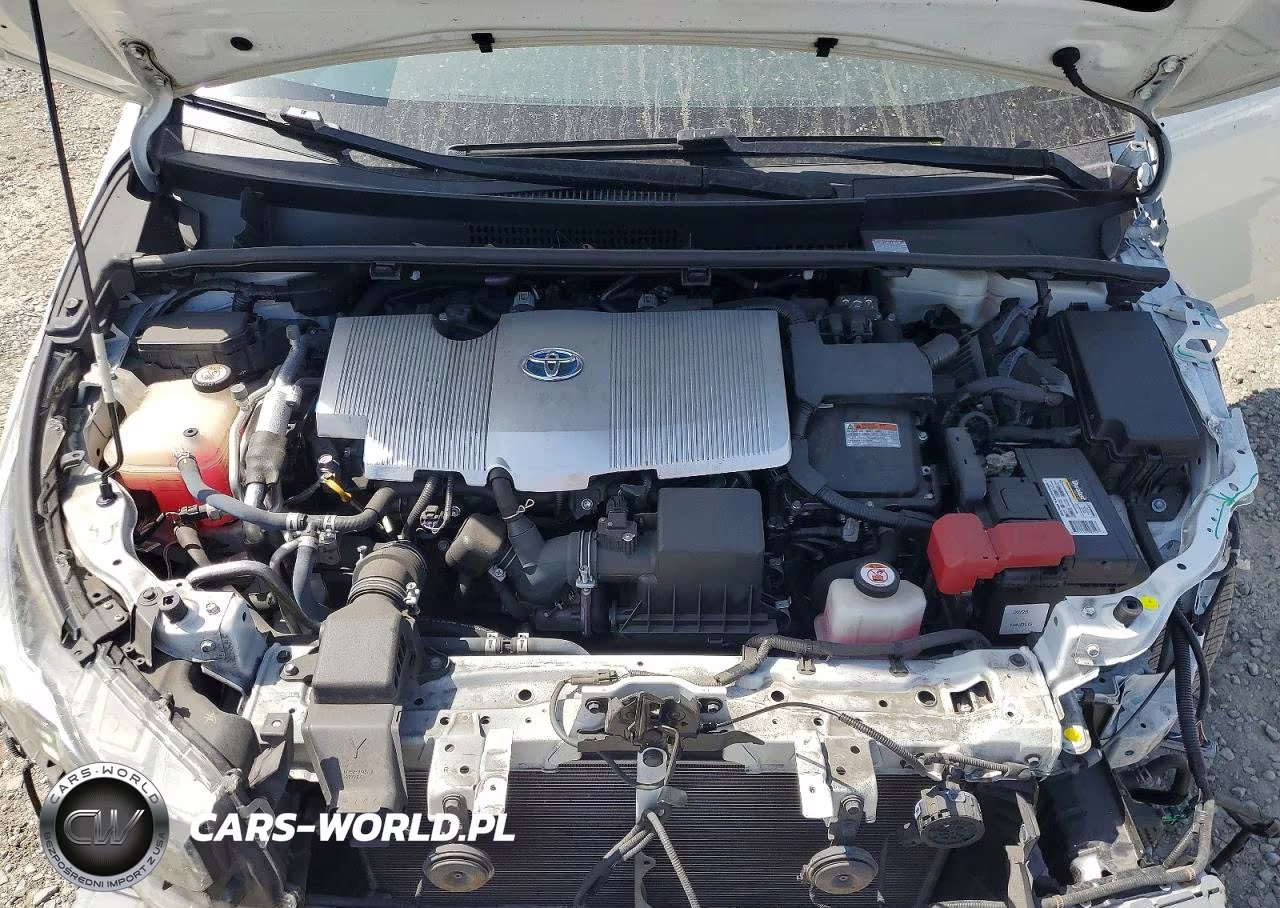2019 Toyota Prius Prime Premium VIN:JTDKARFP2K3119684 - 11