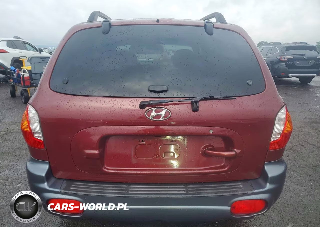 2001 Hyundai Santa Fe Gl VIN:KM8SB82B71U055230 - 6