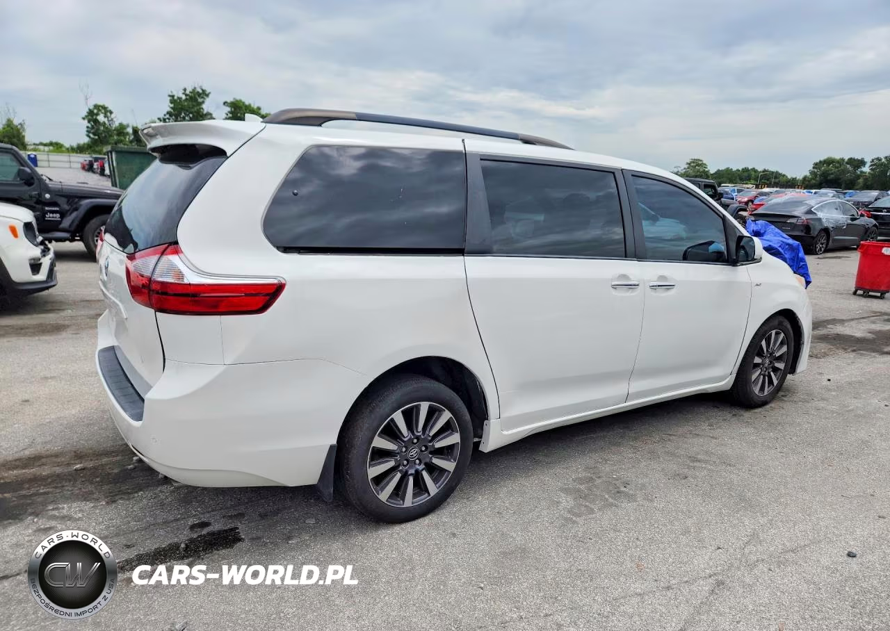 2019 Toyota Sienna Xle VIN:5TDDZ3DC9KS226292 - 3