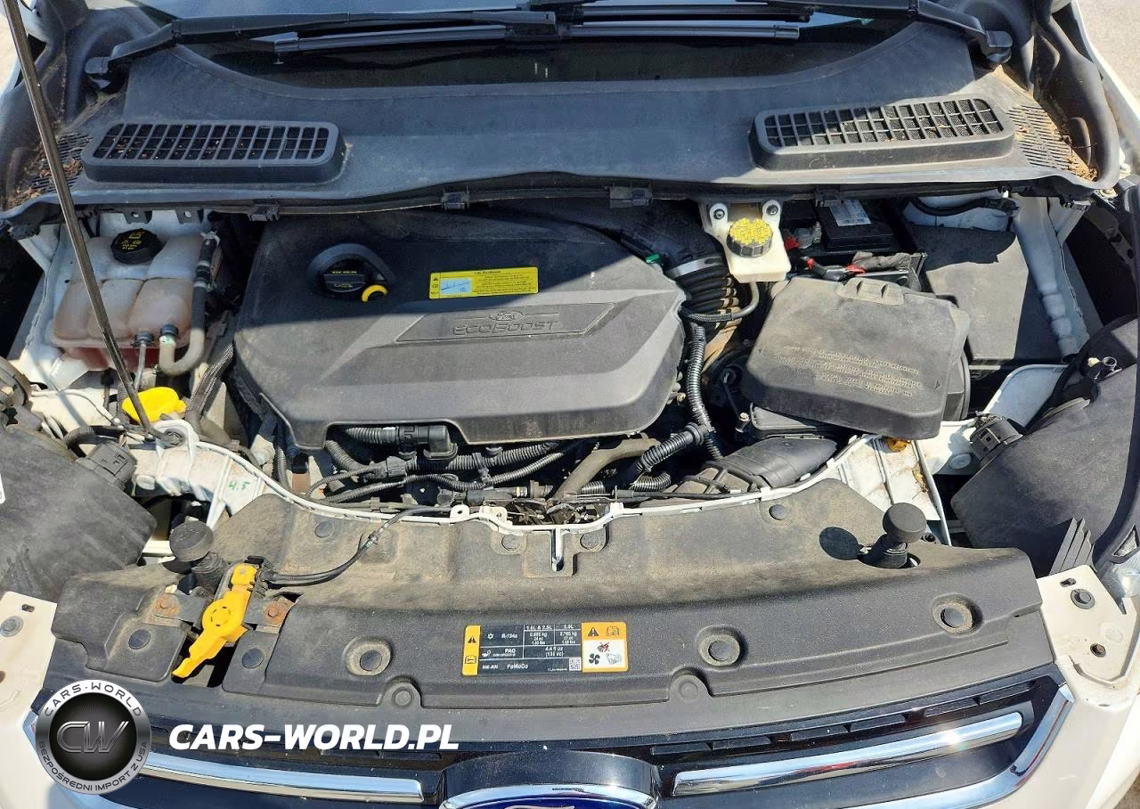 2014 Ford Escape Titanium VIN:1FMCU9JX7EUB75469 - 12
