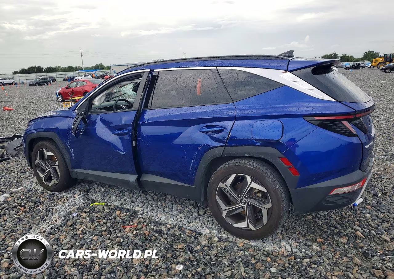 2024 Hyundai Tucson Limited VIN:5NMJE3DE5RH317590 - 2