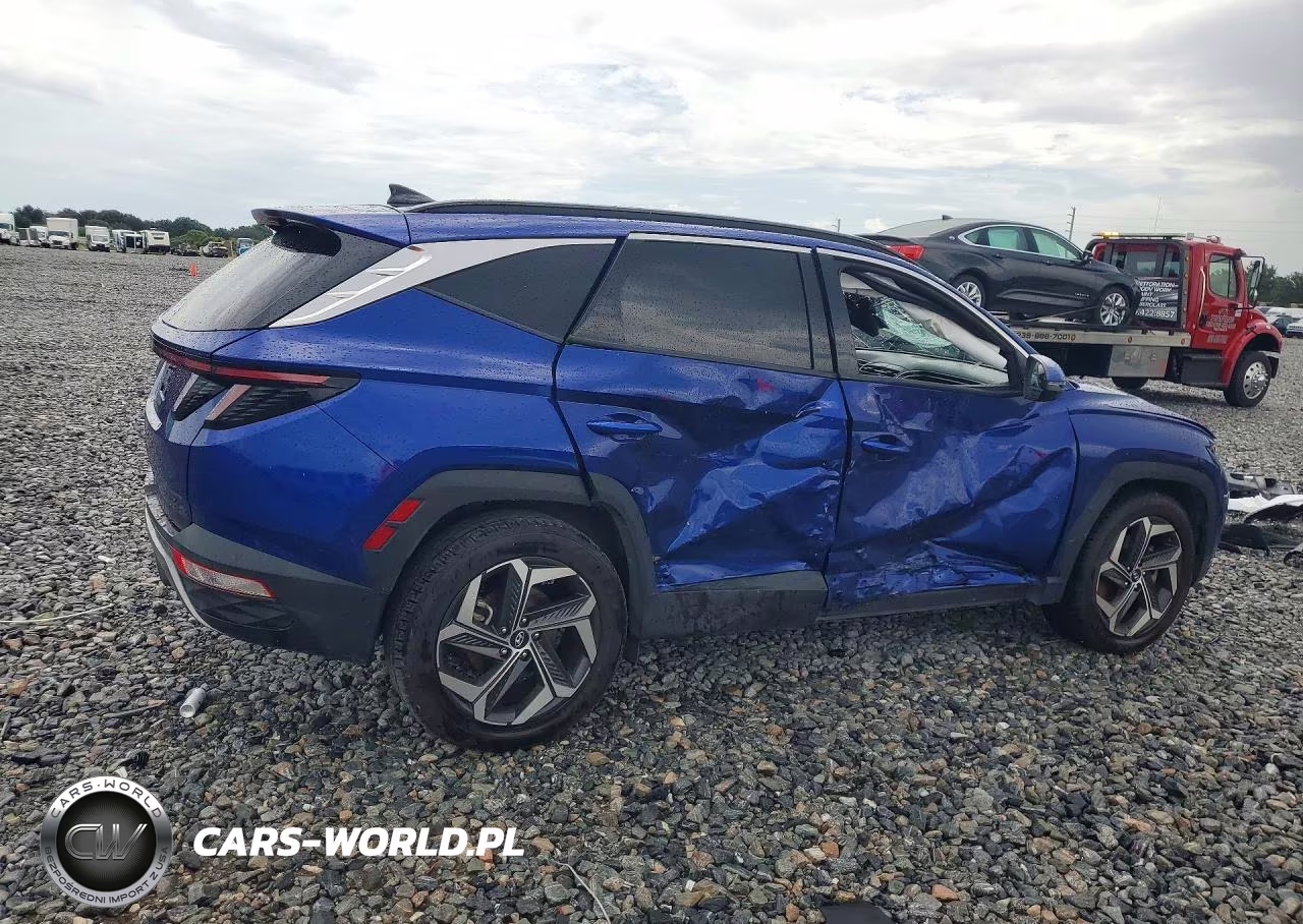 2024 Hyundai Tucson Limited VIN:5NMJE3DE5RH317590 - 3