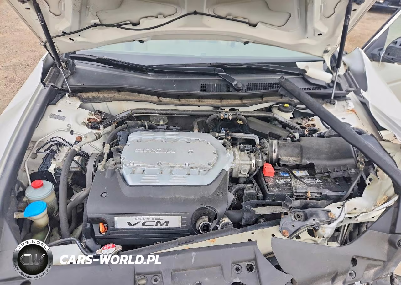 2010 Honda Accord Exl VIN:5KBCP3F88AB004096 - 11