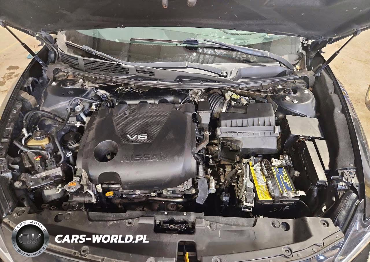 2019 Nissan Maxima Platinum VIN:1N4AA6AV6KC363196 - 11