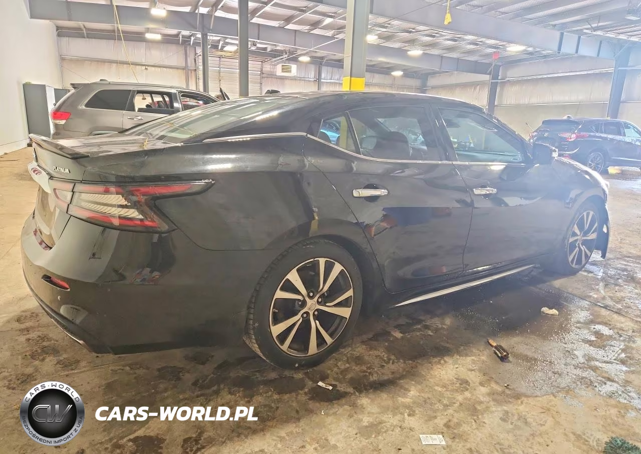 2019 Nissan Maxima Platinum VIN:1N4AA6AV6KC363196 - 3