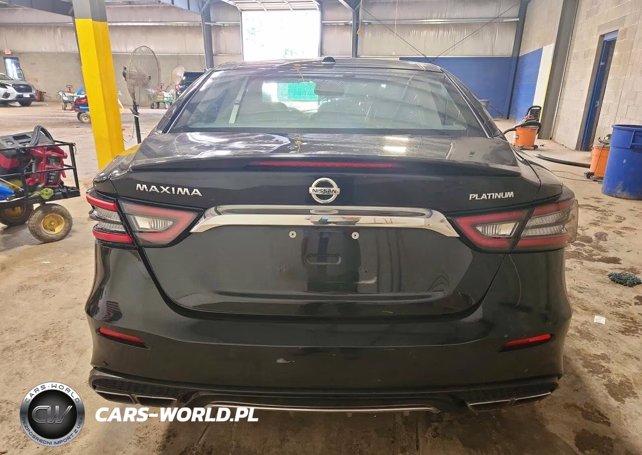 2019 Nissan Maxima Platinum VIN:1N4AA6AV6KC363196 - 6