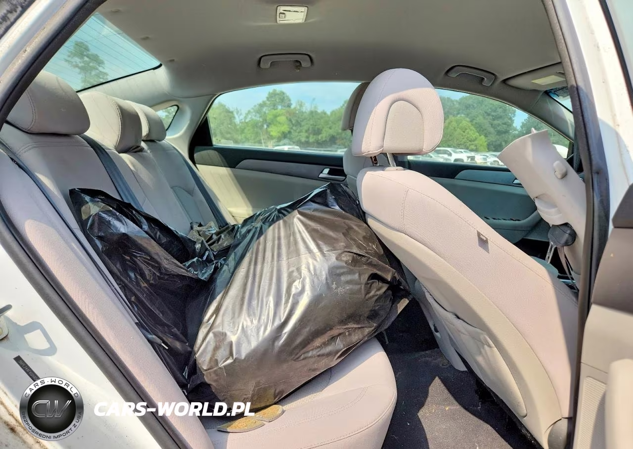 2016 Hyundai Sonata Se VIN:5NPE24AFXGH404592 - 10