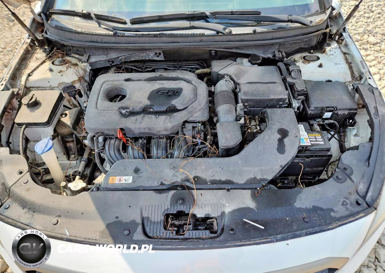2016 Hyundai Sonata Se VIN:5NPE24AFXGH404592 - 11