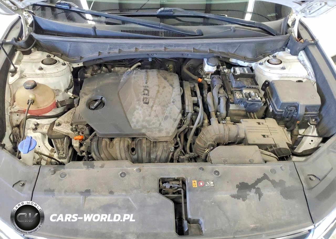 2023 Hyundai Tucson Sel VIN:5NMJBCAE2PH195006 - 12