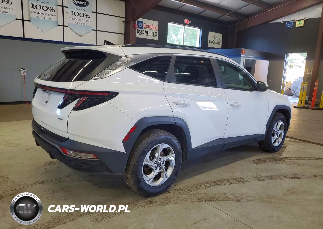 2023 Hyundai Tucson Sel VIN:5NMJBCAE2PH195006 - 3