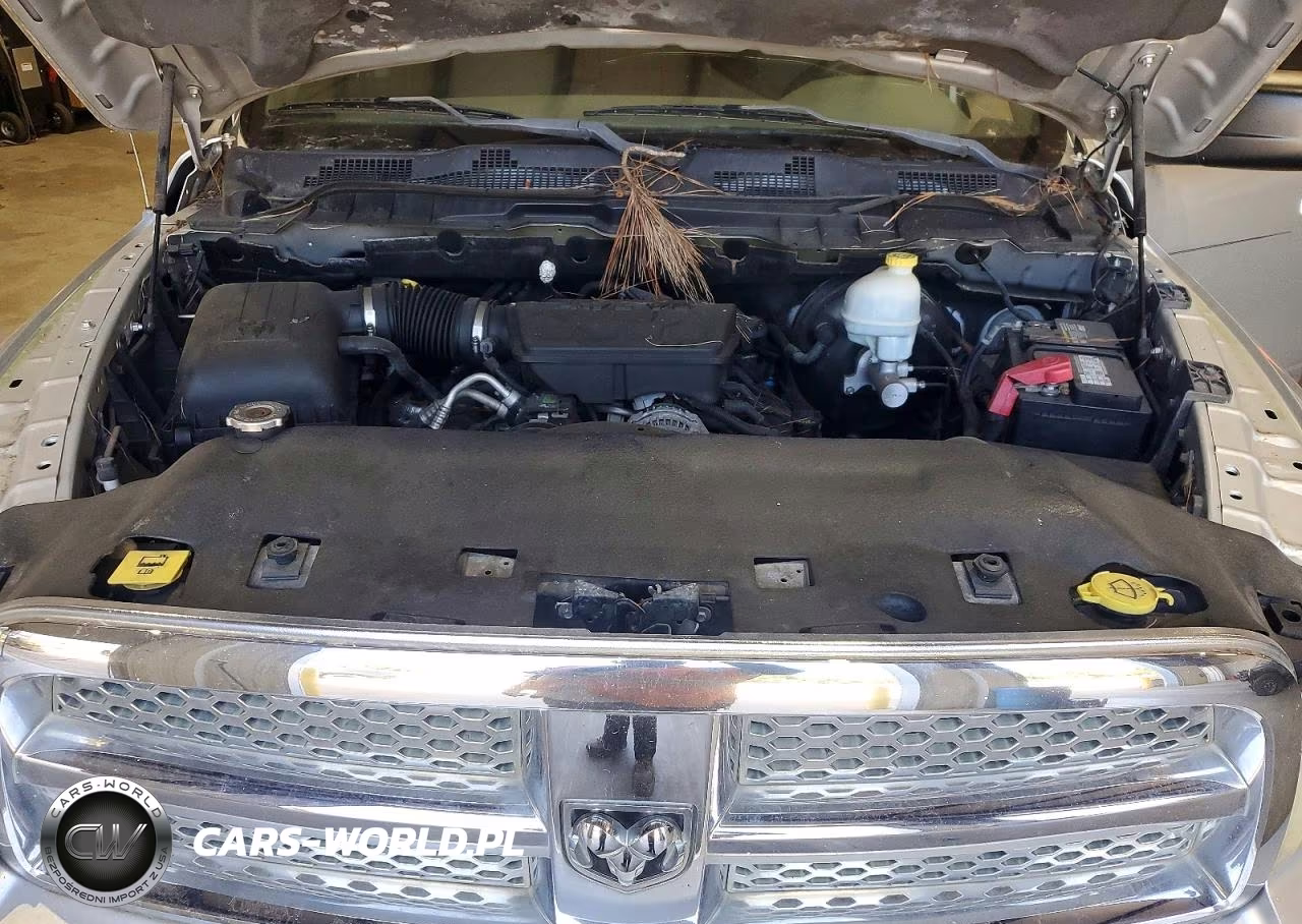 2009 Dodge Ram 1500 VIN:1D3HB18PX9S801709 - 11