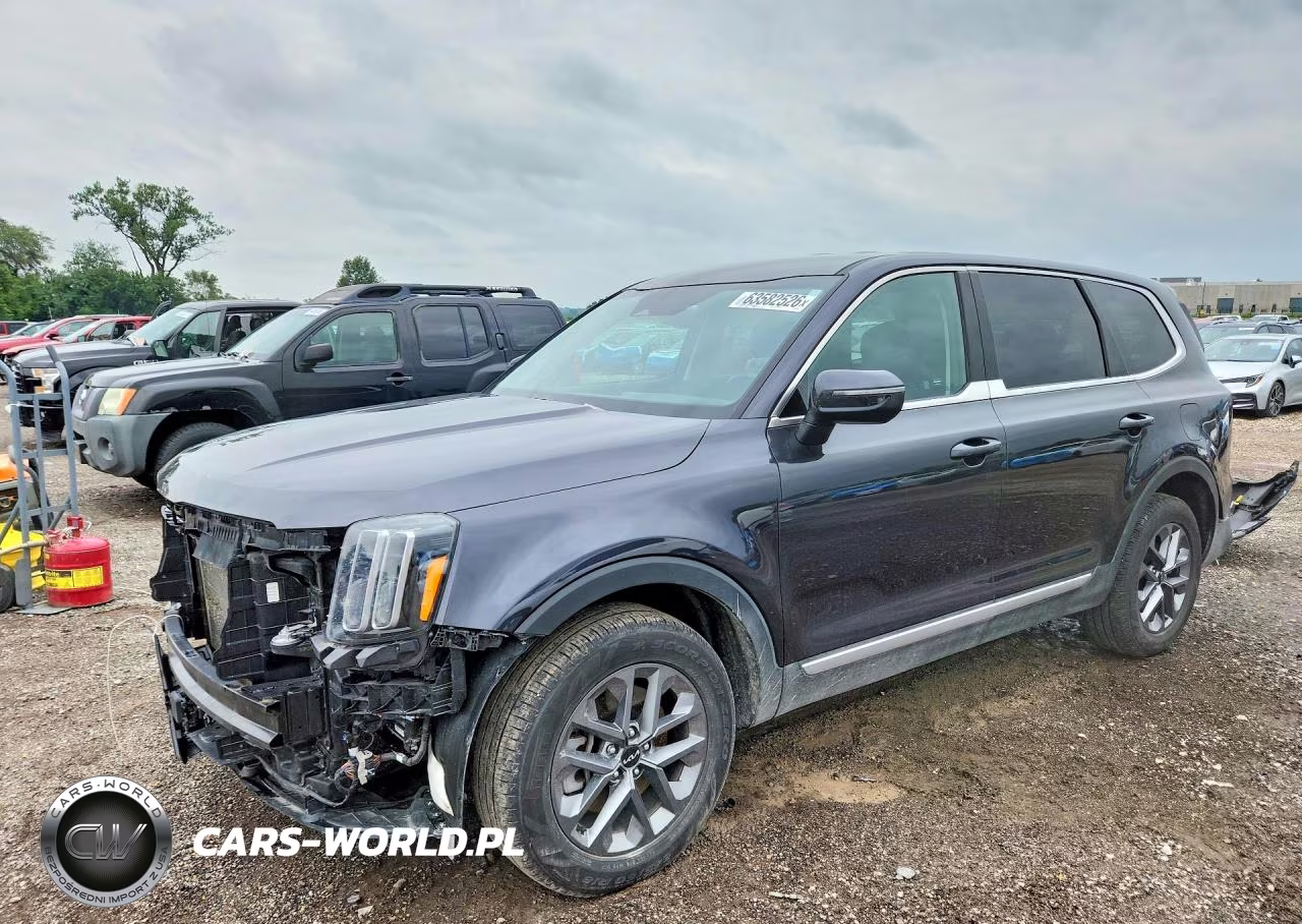 2025 Kia Telluride VIN:5XYP24GC8SG589943 - 1