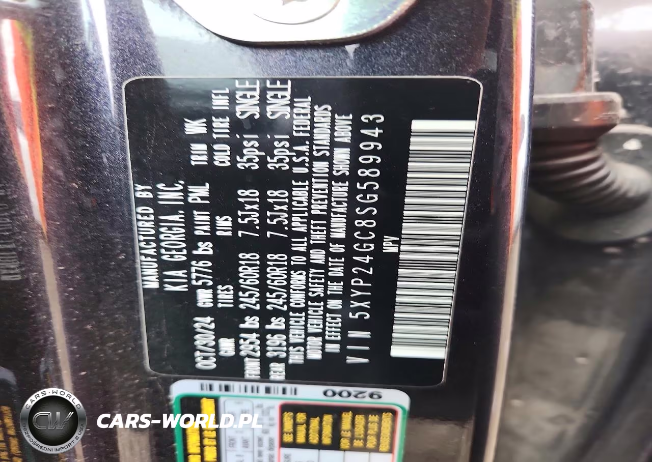 2025 Kia Telluride VIN:5XYP24GC8SG589943 - 13