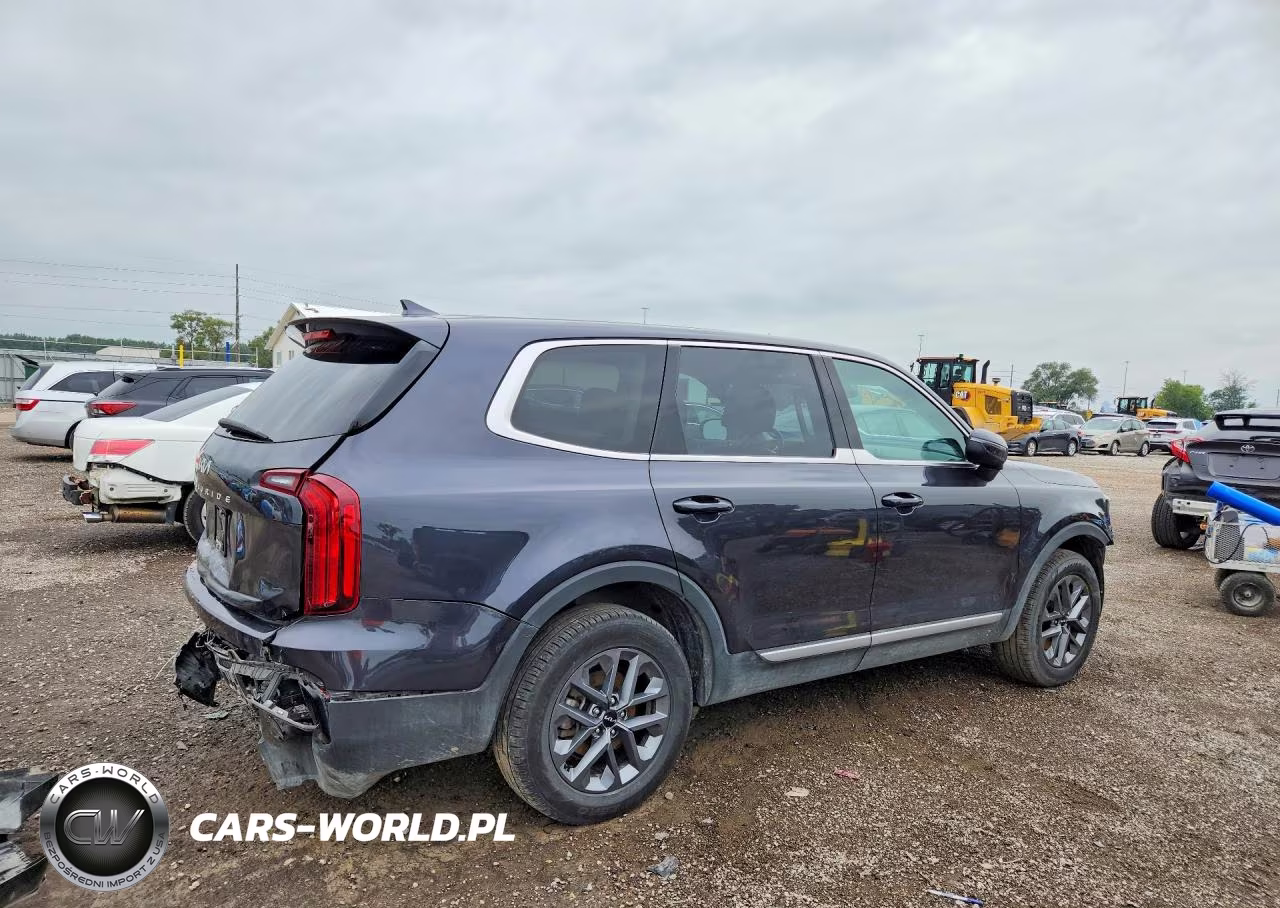 2025 Kia Telluride VIN:5XYP24GC8SG589943 - 3