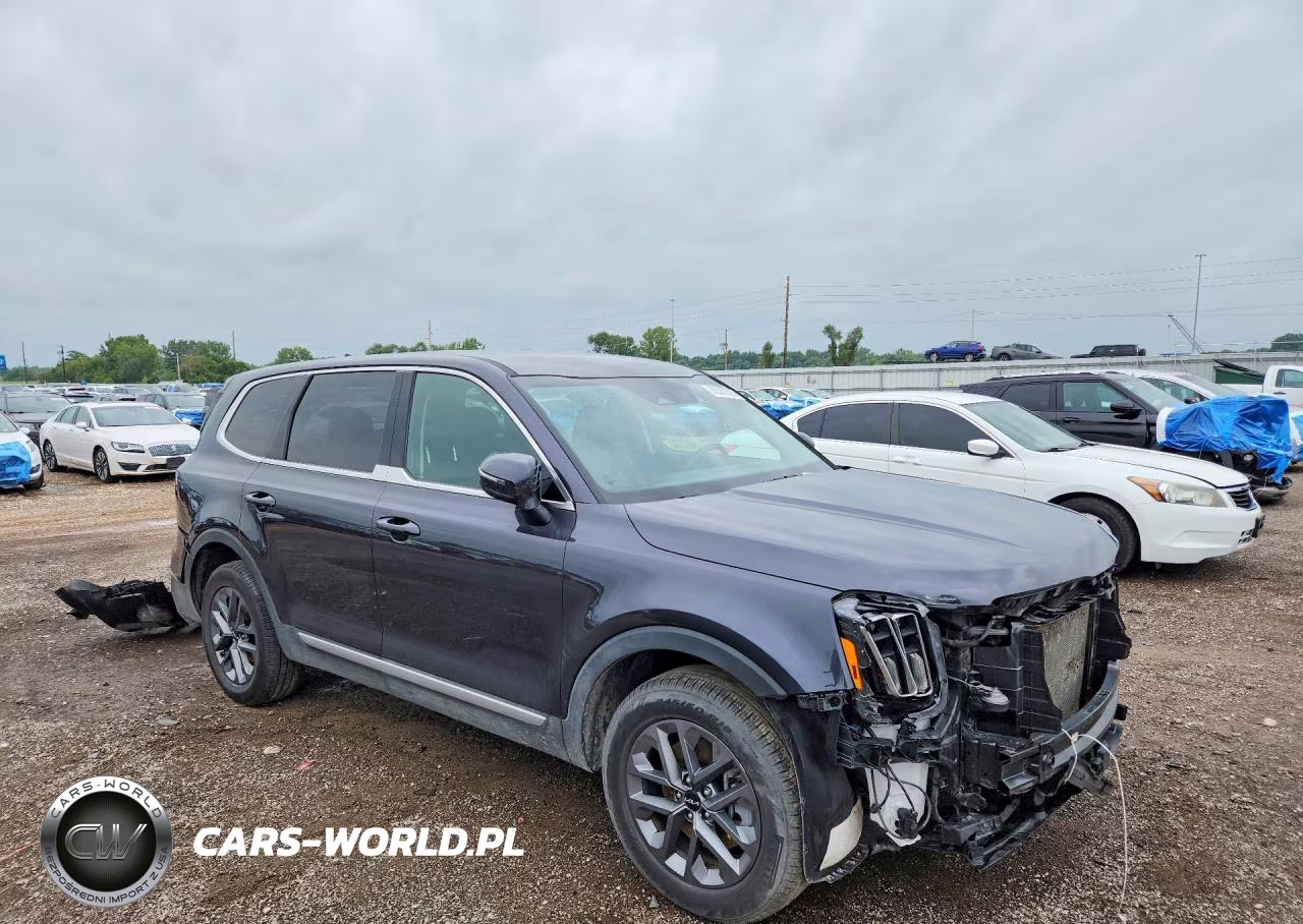 2025 Kia Telluride VIN:5XYP24GC8SG589943 - 4