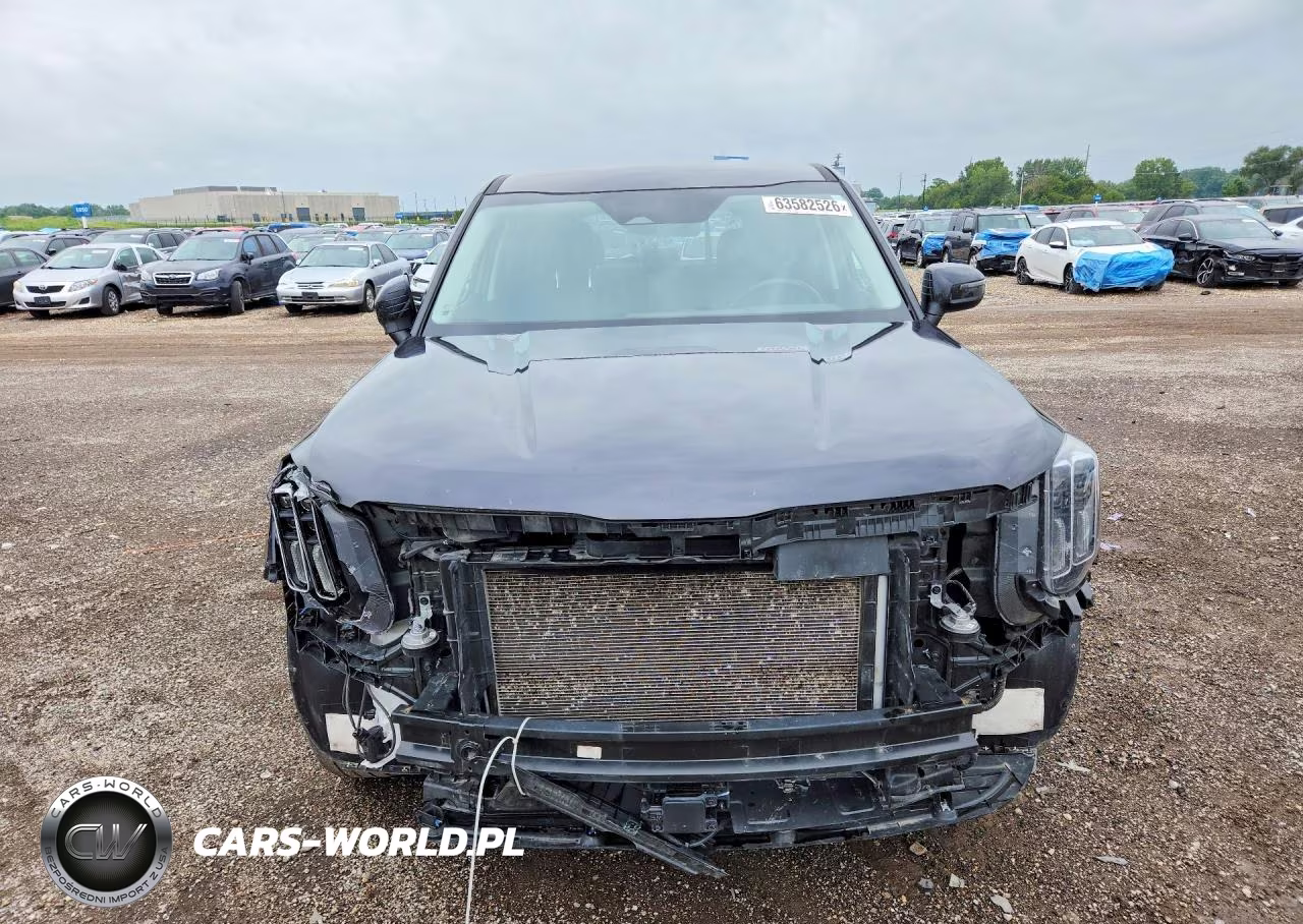 2025 Kia Telluride VIN:5XYP24GC8SG589943 - 5