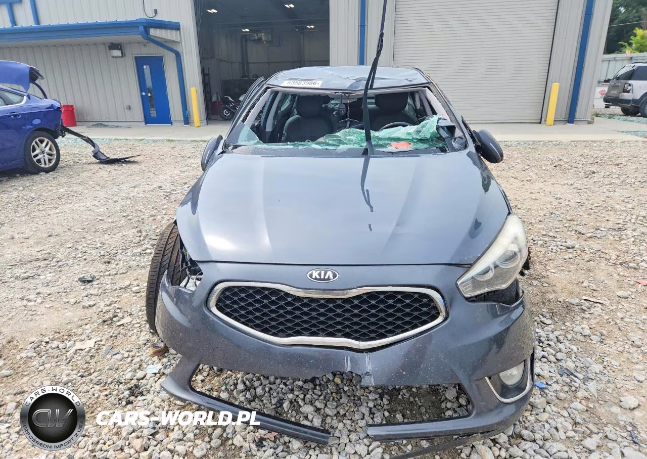 2015 Kia Cadenza Premium VIN:KNALN4D77F5197156 - 5