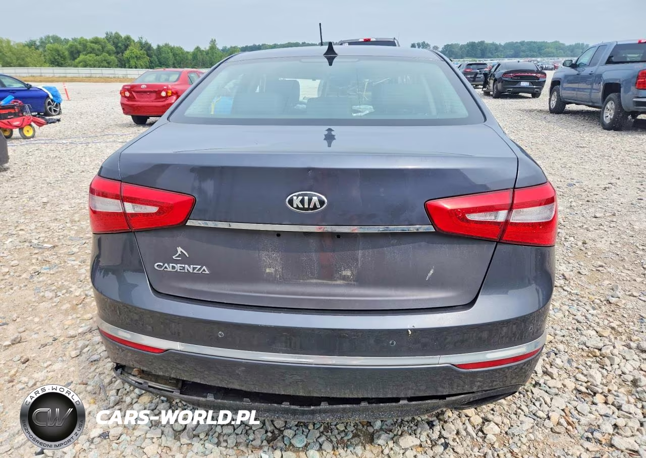2015 Kia Cadenza Premium VIN:KNALN4D77F5197156 - 6