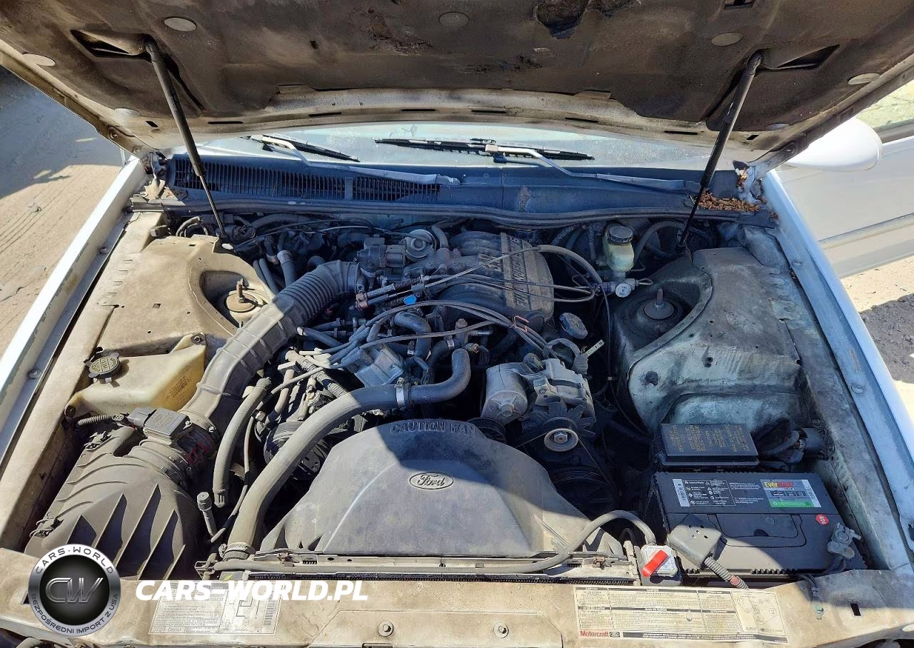 1993 Ford Thunderbird Lx VIN:1FAPP6246PH112865 - 11