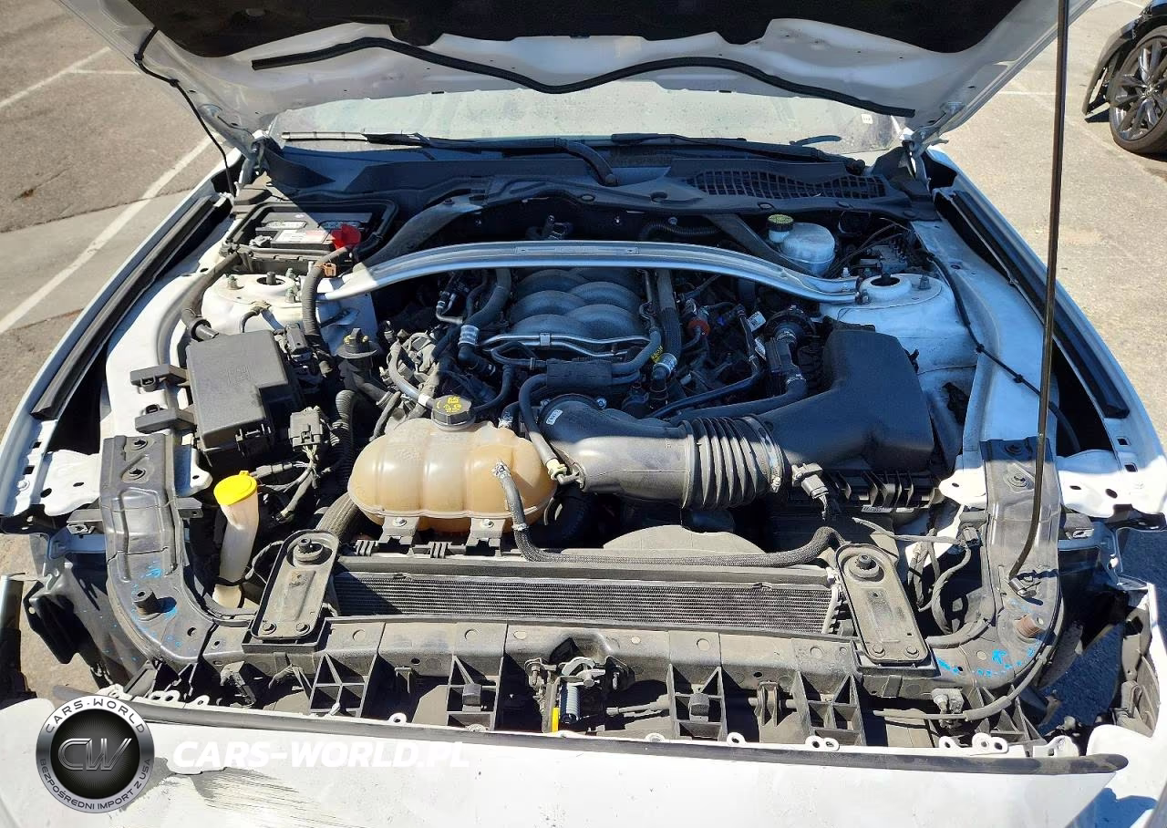 2019 Ford Mustang Gt VIN:1FA6P8CF3K5169218 - 11