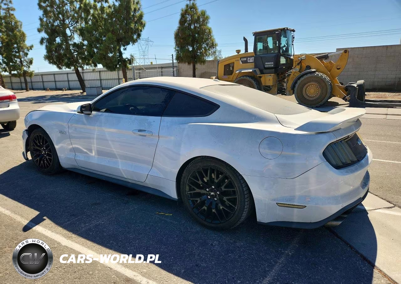 2019 Ford Mustang Gt VIN:1FA6P8CF3K5169218 - 2