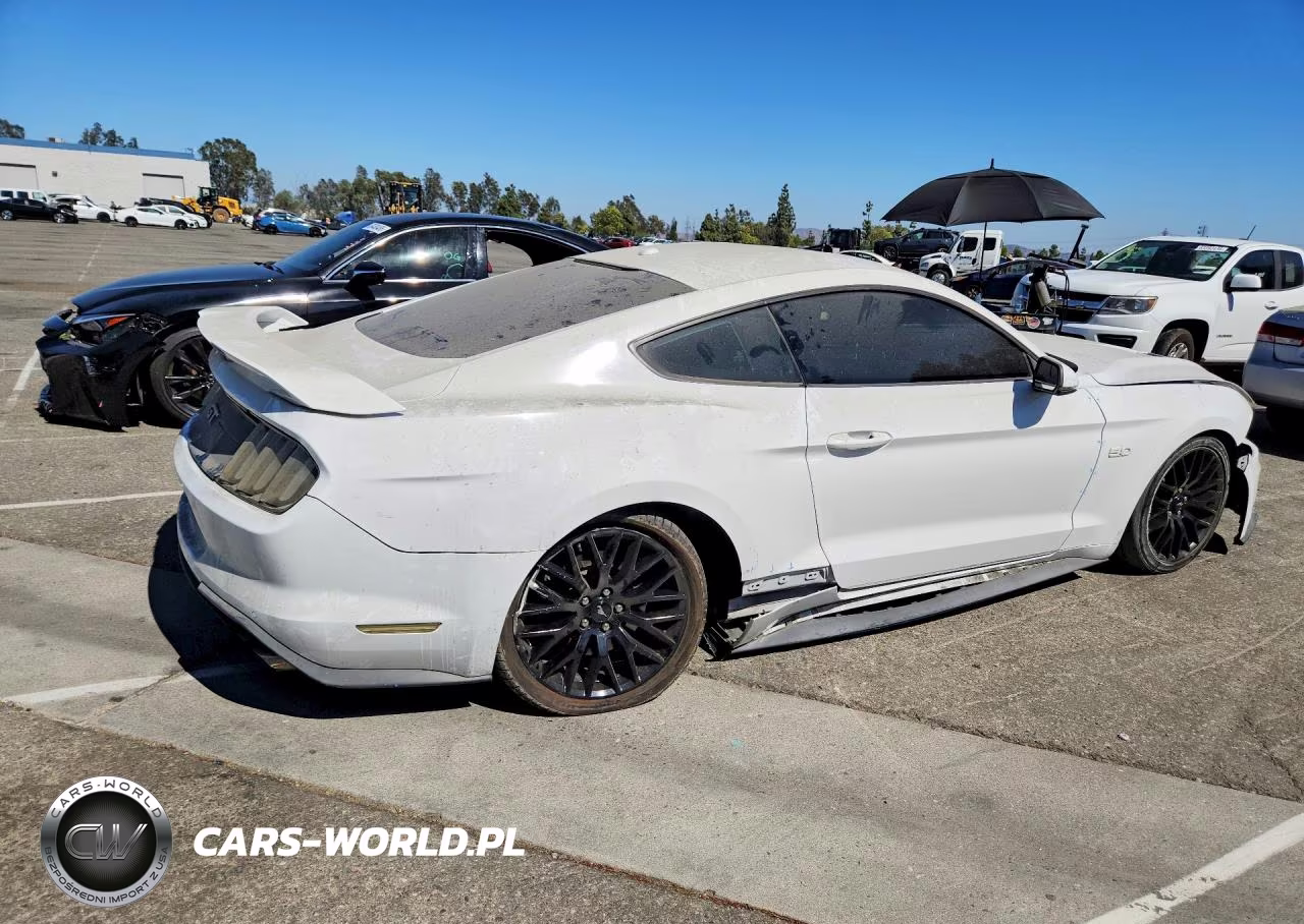 2019 Ford Mustang Gt VIN:1FA6P8CF3K5169218 - 3