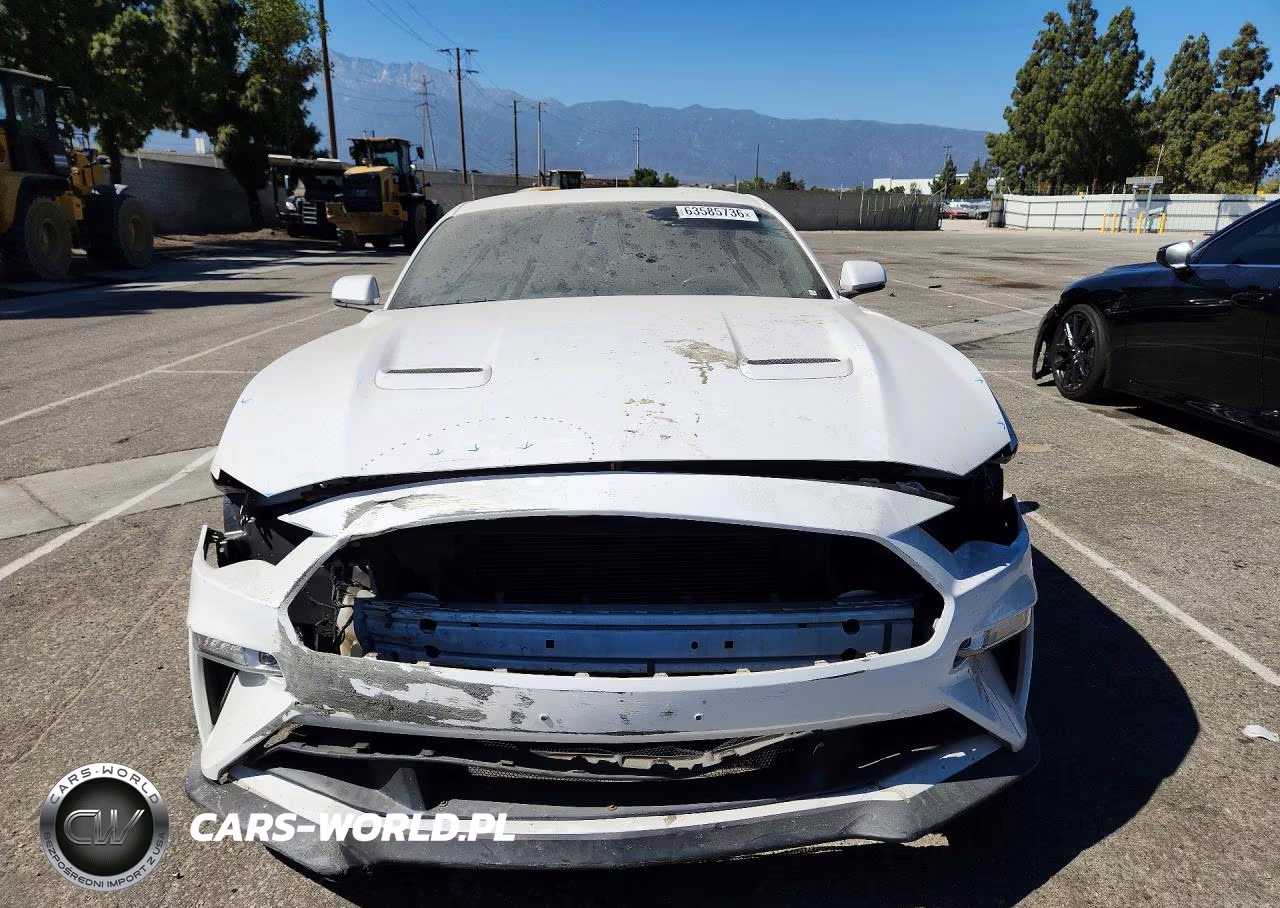 2019 Ford Mustang Gt VIN:1FA6P8CF3K5169218 - 5