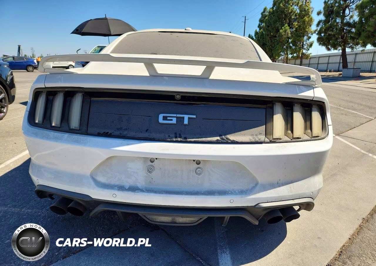 2019 Ford Mustang Gt VIN:1FA6P8CF3K5169218 - 6