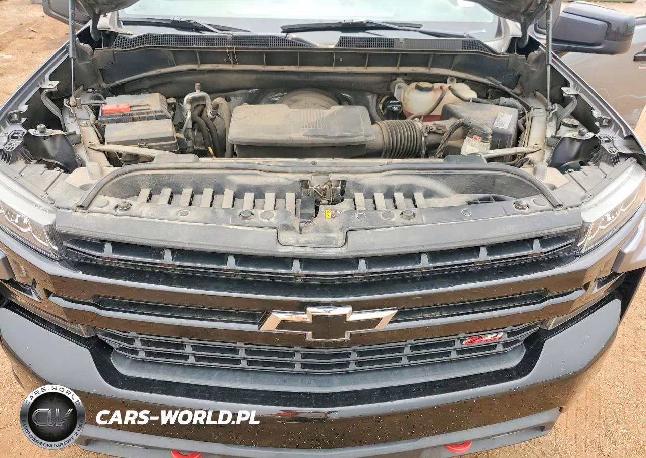 2019 Chevrolet Silverado K1500 Lt Trail Boss VIN:3GCPYFED2KG236685 - 11