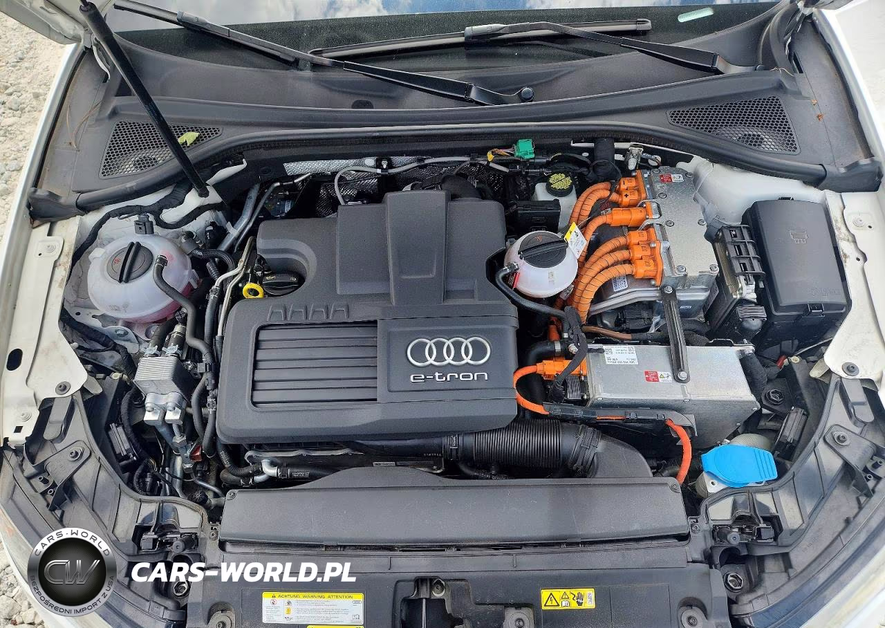 2016 Audi A3 E-Tron Premium Plus VIN:WAUTPBFF9GA063311 - 11