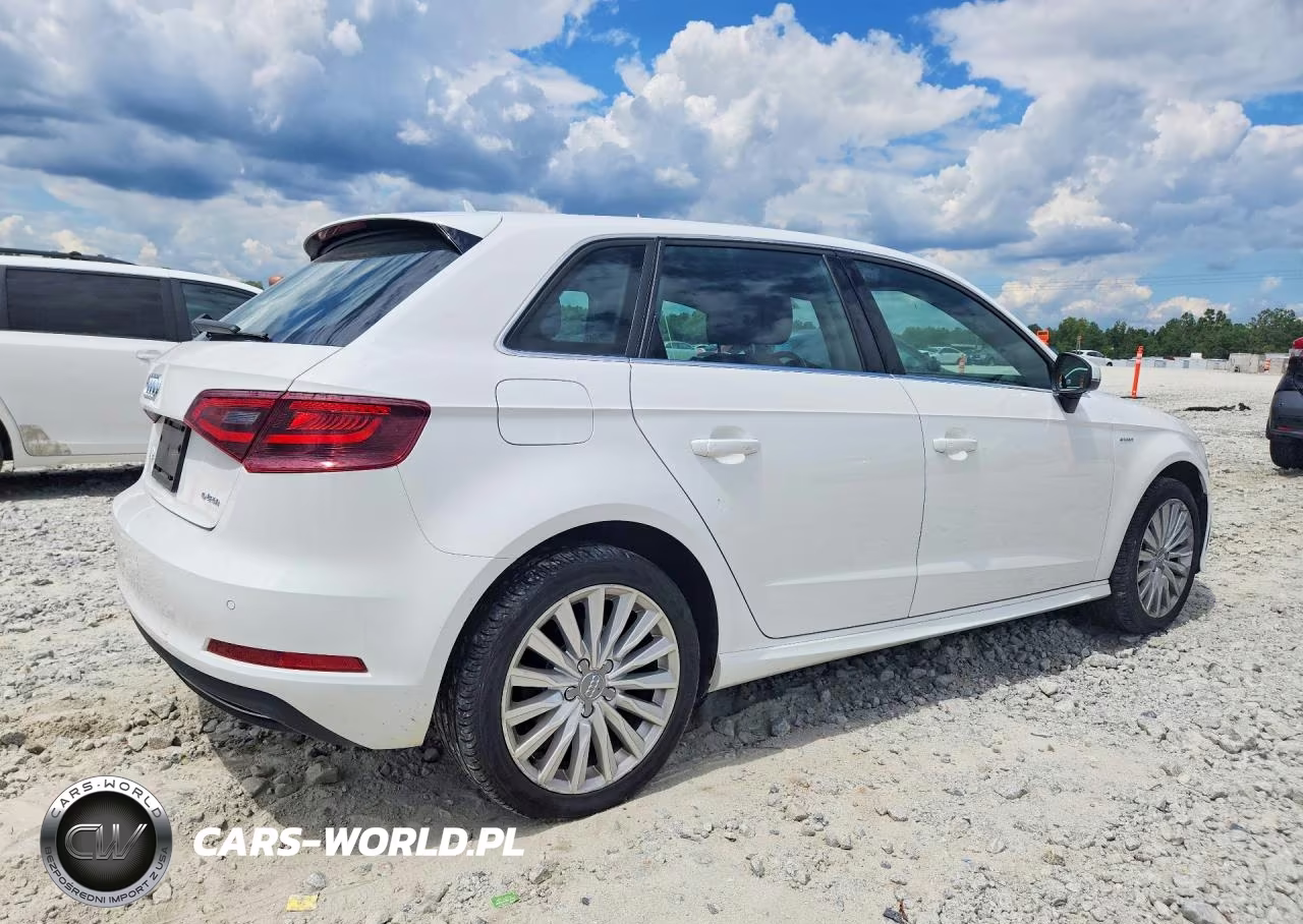 2016 Audi A3 E-Tron Premium Plus VIN:WAUTPBFF9GA063311 - 3