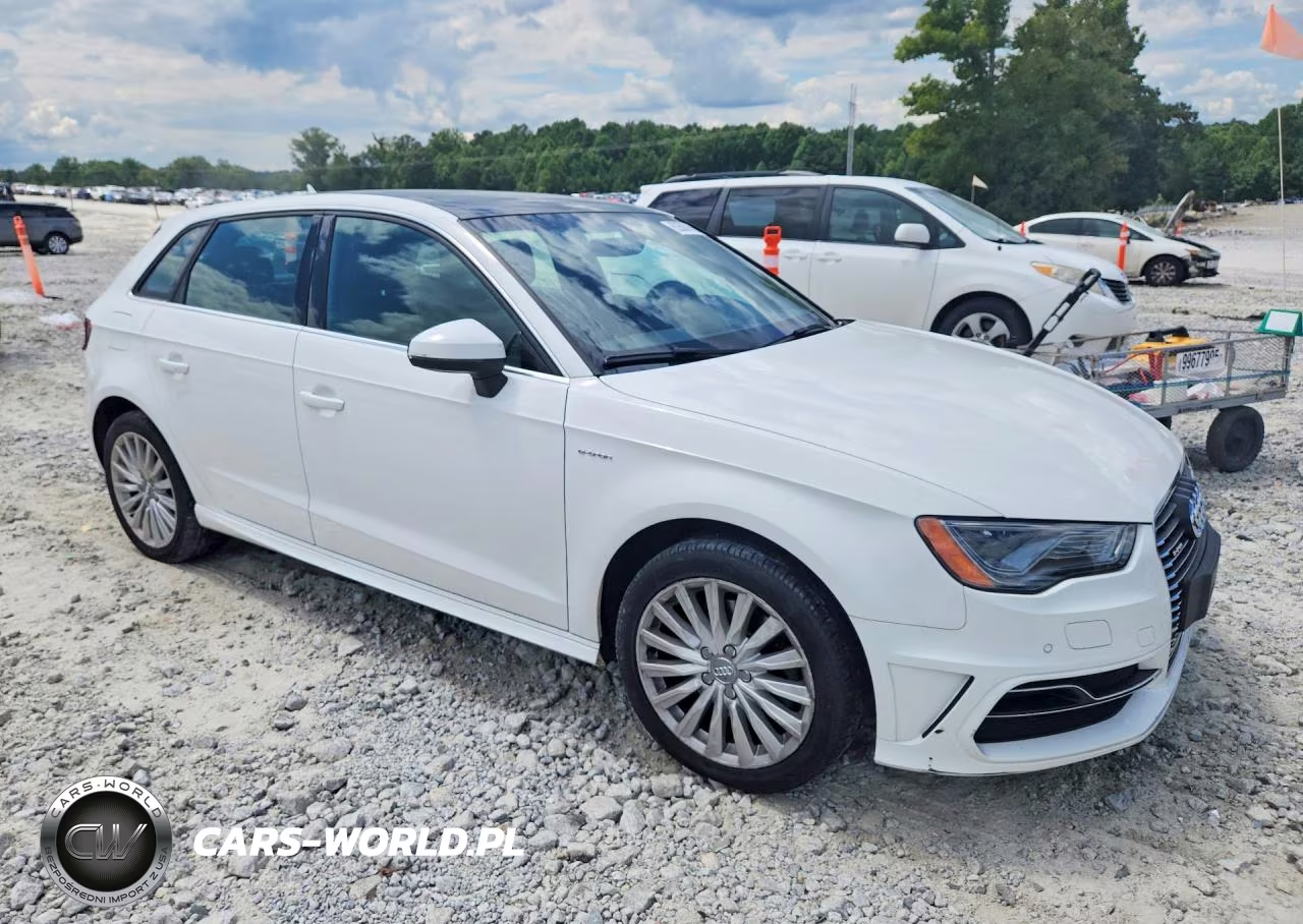 2016 Audi A3 E-Tron Premium Plus VIN:WAUTPBFF9GA063311 - 4