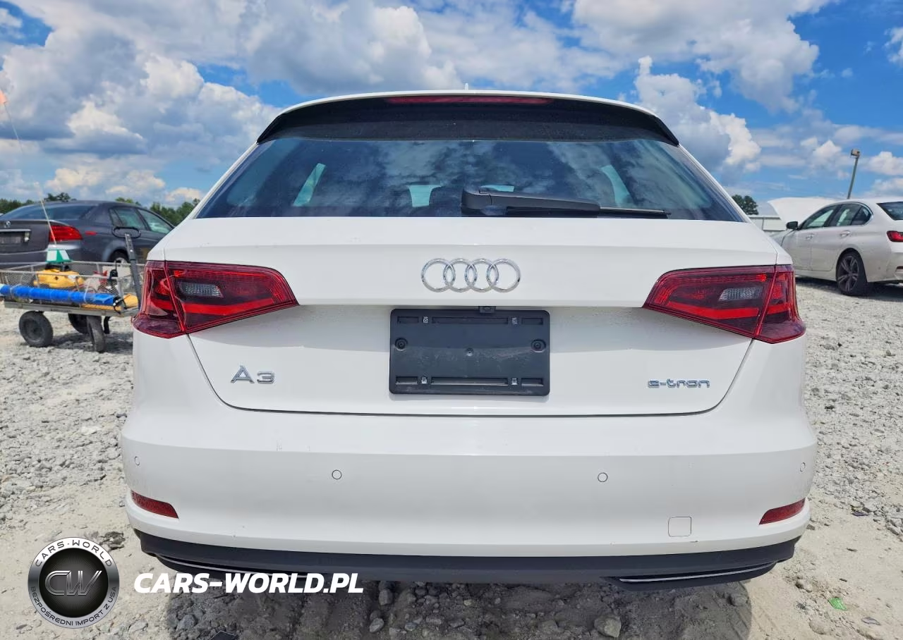 2016 Audi A3 E-Tron Premium Plus VIN:WAUTPBFF9GA063311 - 6