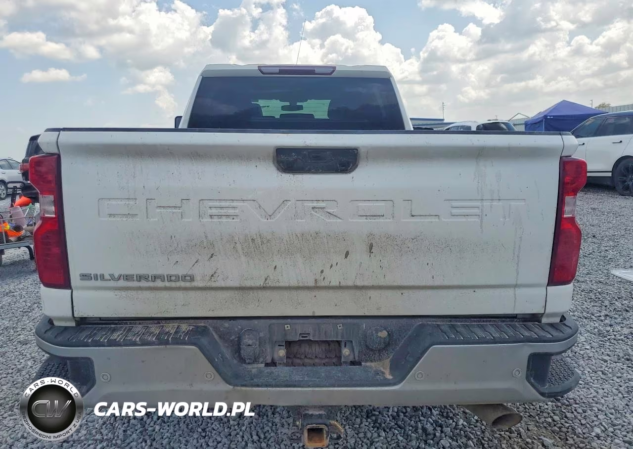 2023 Chevrolet Silverado K2500 Heavy Duty VIN:2GC1YLE79P1723087 - 6