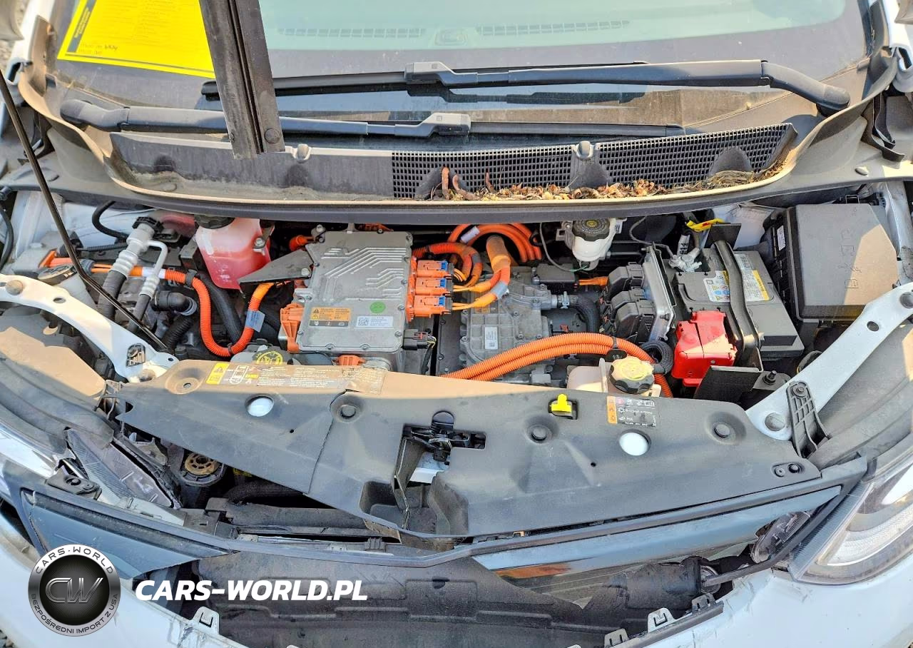 2019 Chevrolet Bolt Ev Lt VIN:1G1FY6S06K4131876 - 11