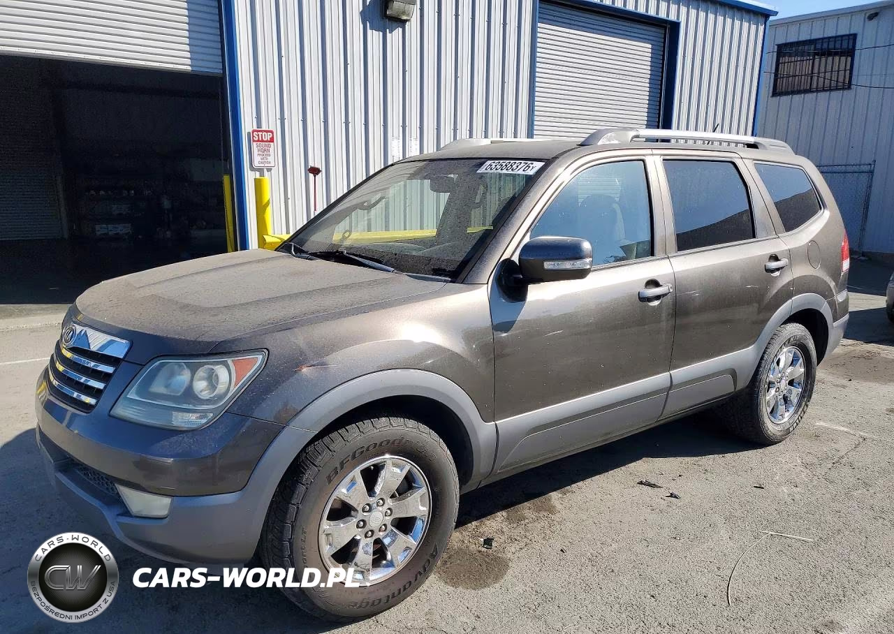 2009 Kia Borrego Lx