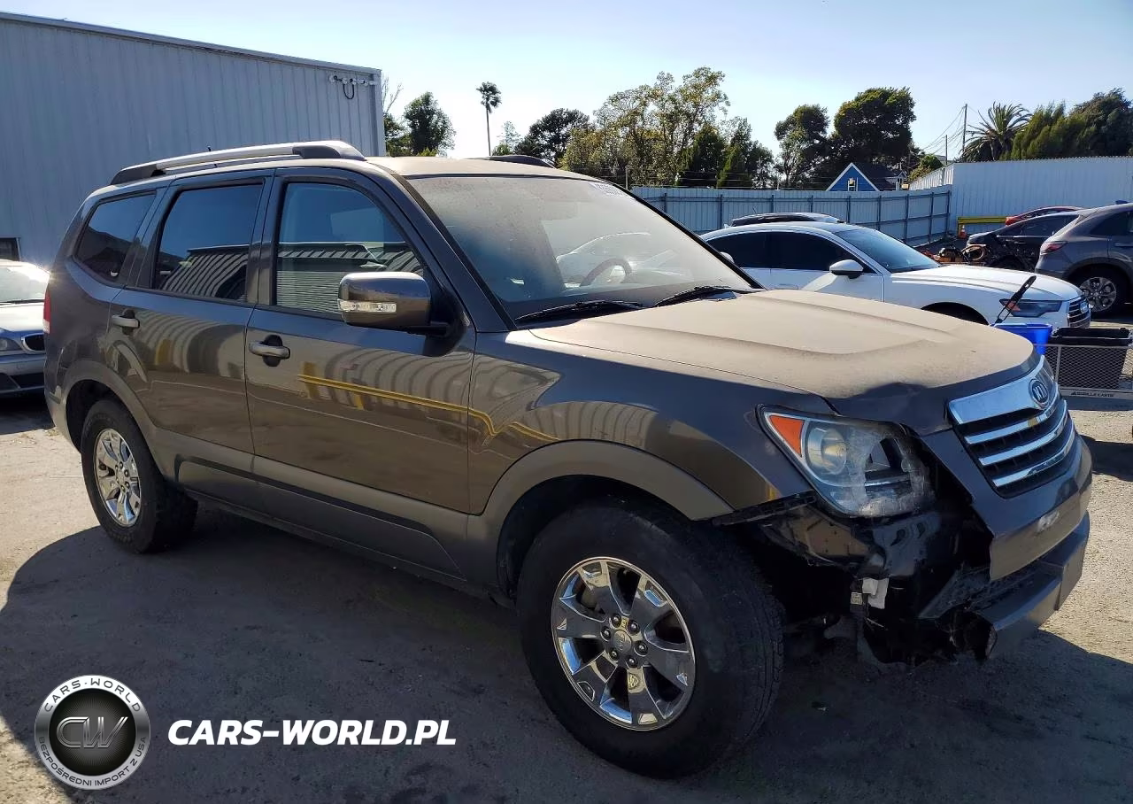 2009 Kia Borrego Lx VIN:KNDJJ741095037708 - 4