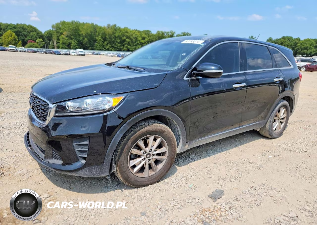 2019 Kia Sorento Lx VIN:5XYPG4A35KG501361 - 1