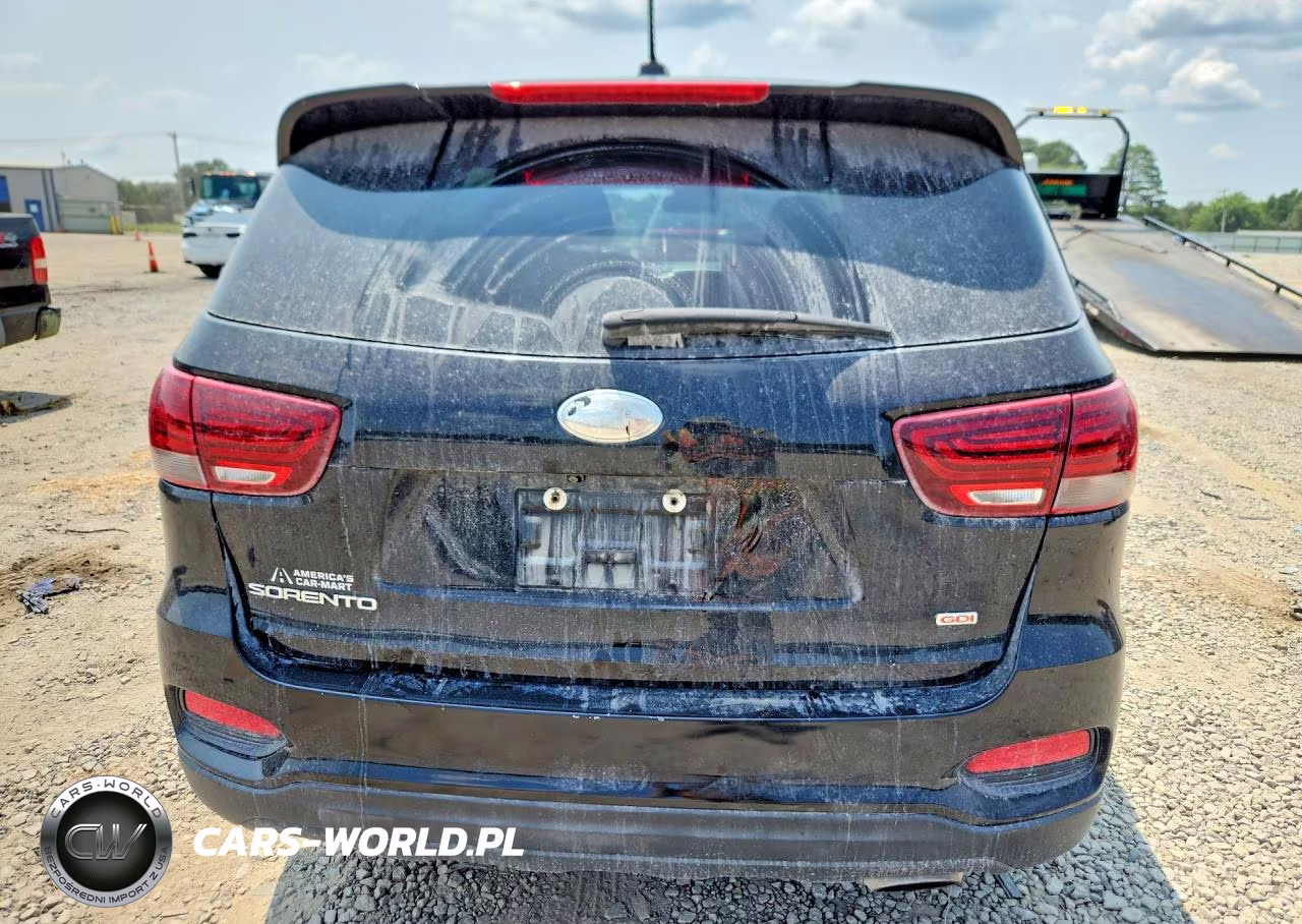 2019 Kia Sorento Lx VIN:5XYPG4A35KG501361 - 6