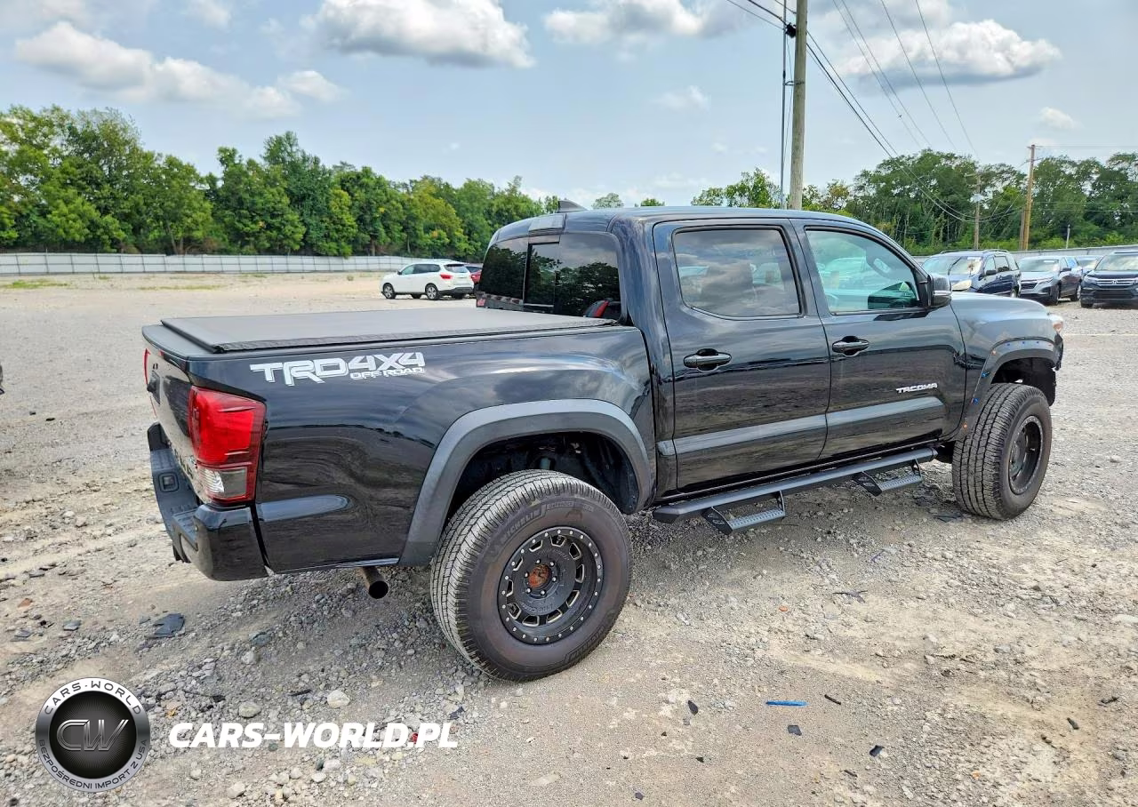 2019 Toyota Tacoma Trd Off-Road VIN:3TMCZ5AN4KM229758 - 3