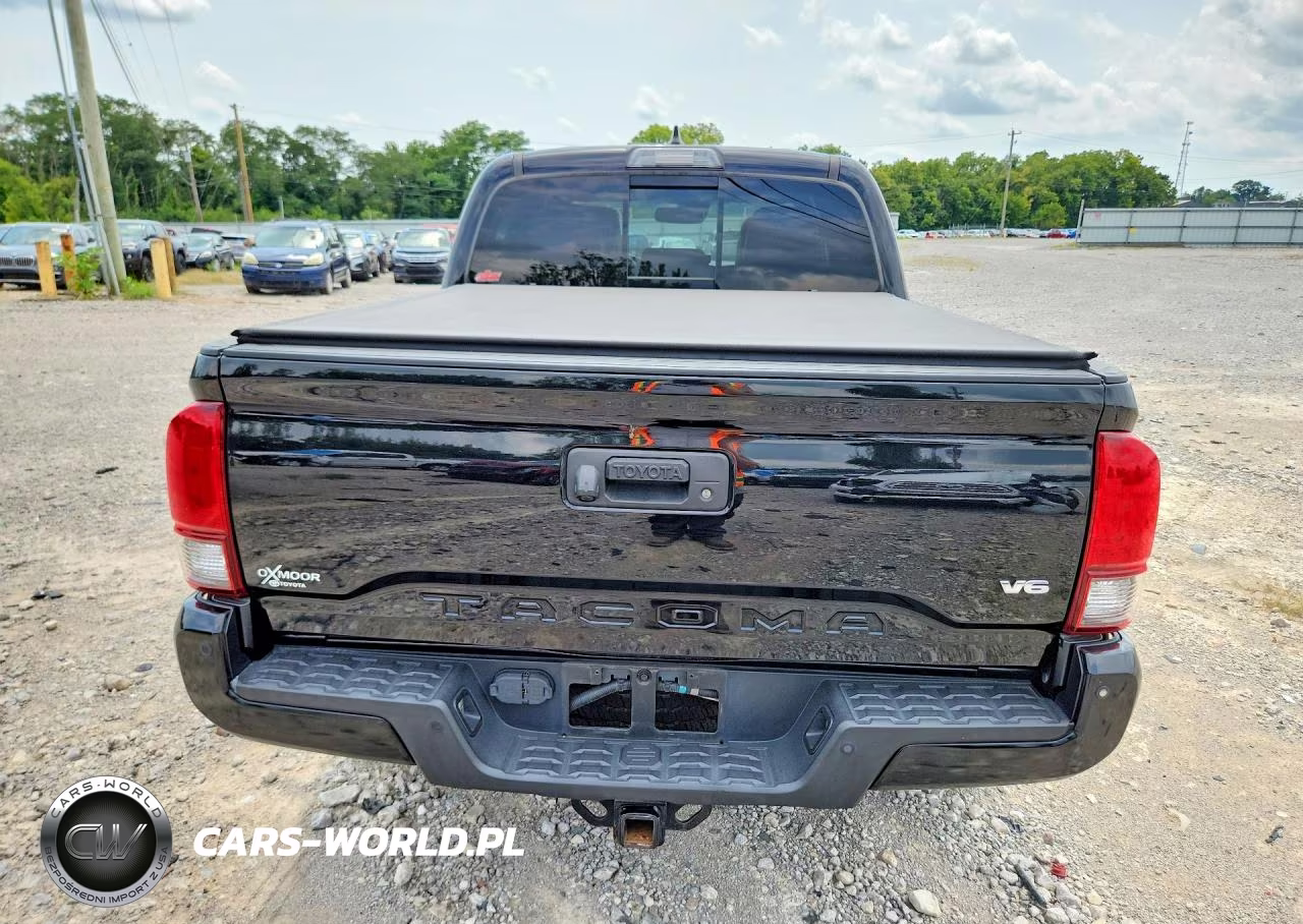 2019 Toyota Tacoma Trd Off-Road VIN:3TMCZ5AN4KM229758 - 6