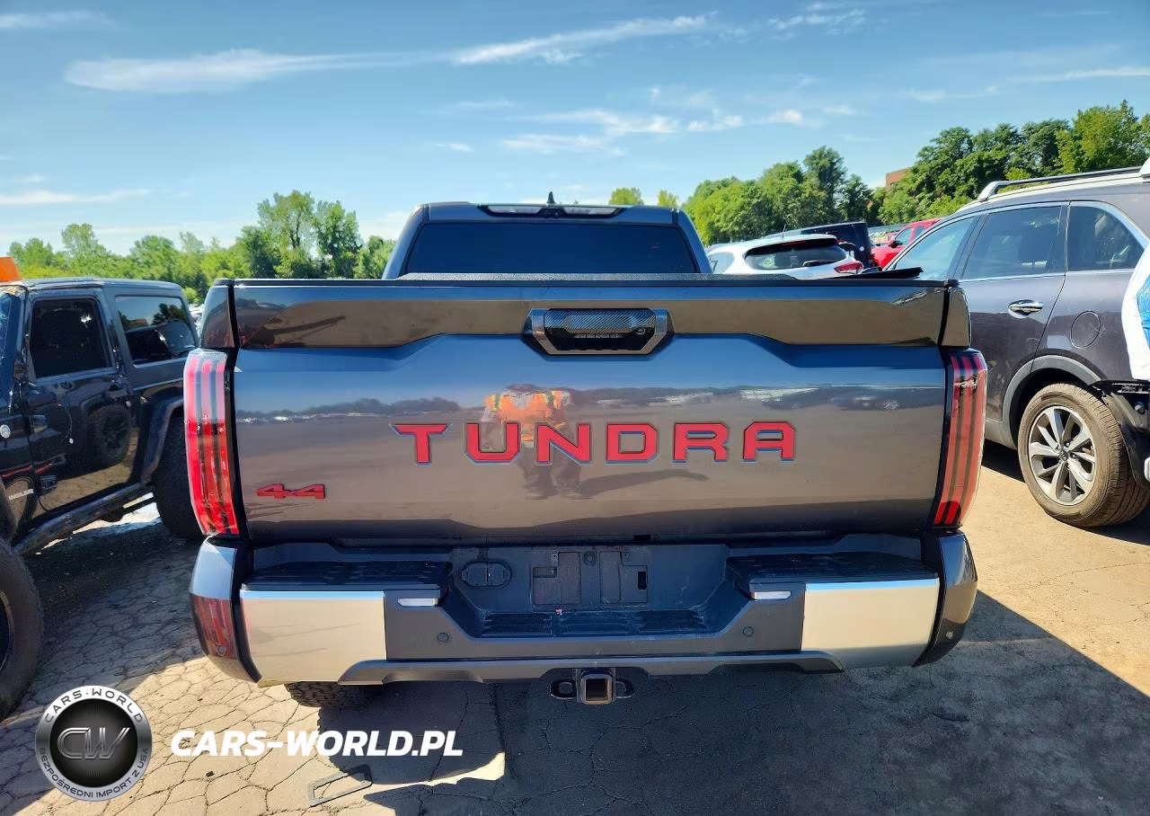 2023 Toyota Tundra Crewmax Limited VIN:5TFJA5EC6PX015430 - 6