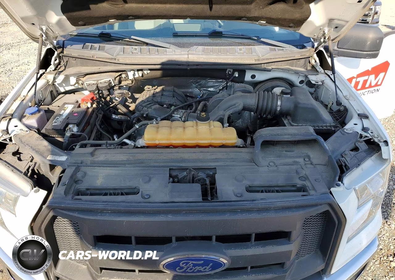 2016 Ford F150 VIN:1FTMF1C86GKD97624 - 11