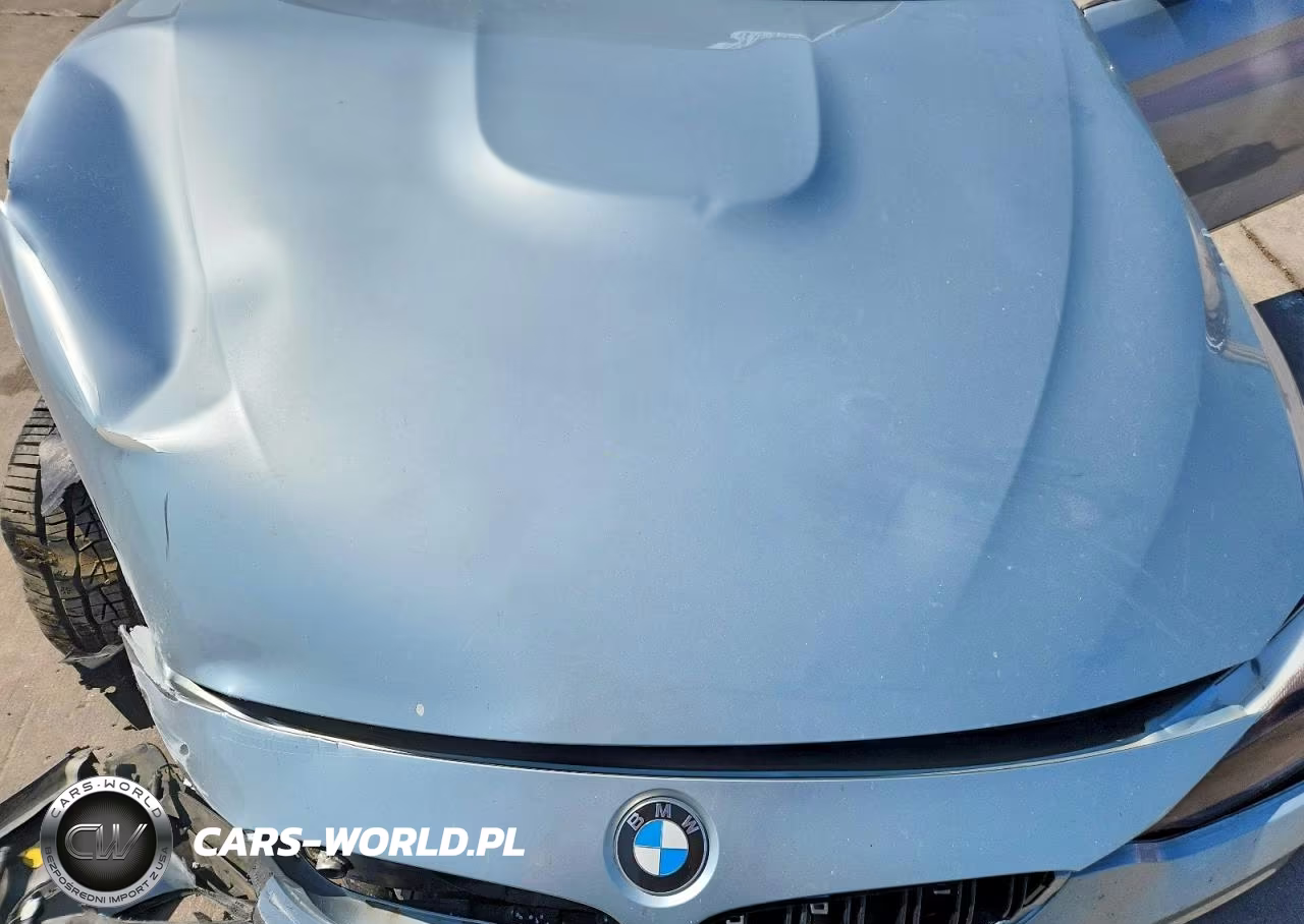 2015 BMW M4 VIN:WBS3R9C56FK333260 - 11