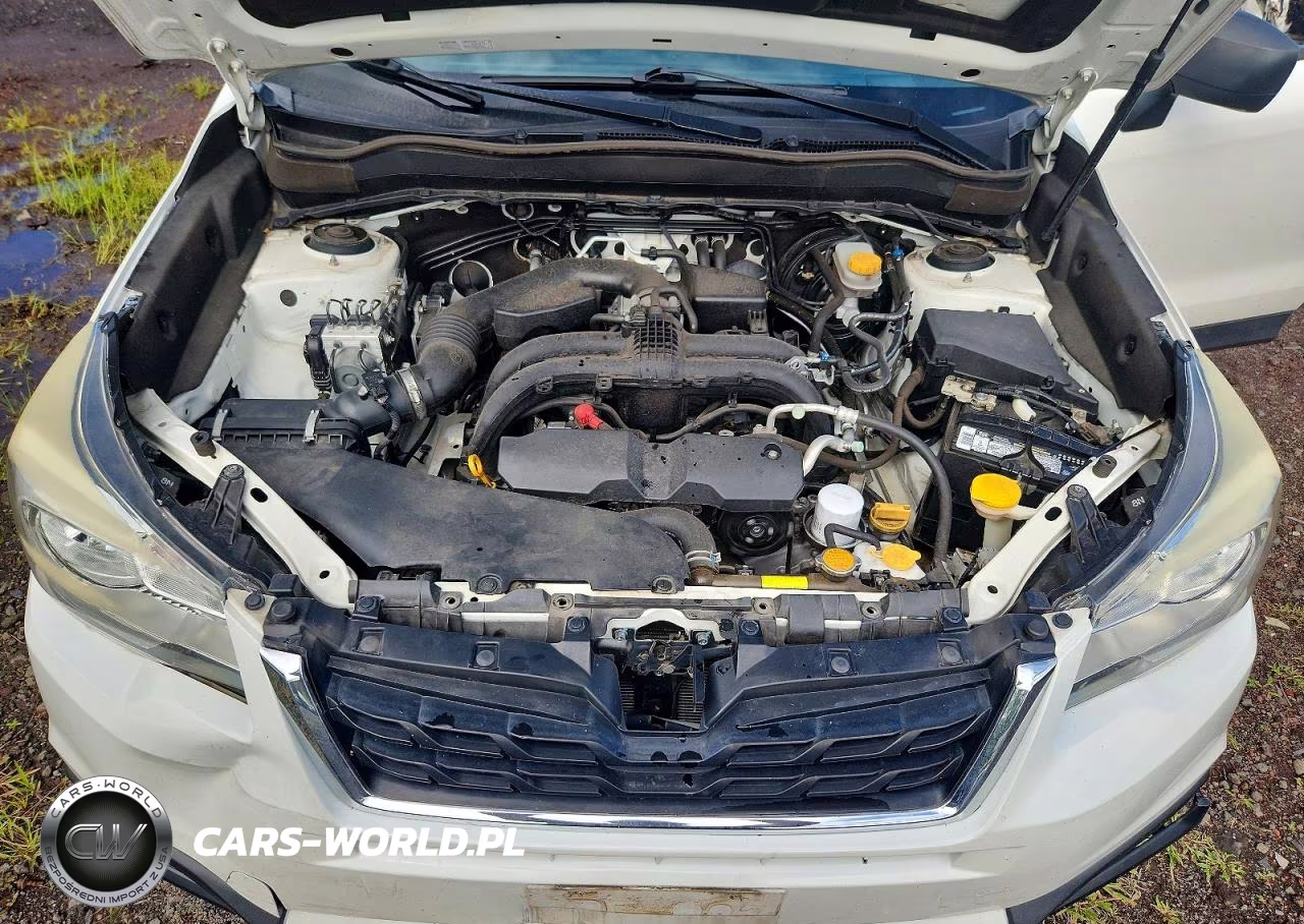 2017 Subaru Forester 2.5I VIN:JF2SJABC0HH446599 - 12