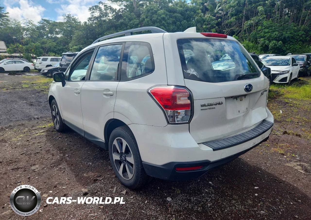 2017 Subaru Forester 2.5I VIN:JF2SJABC0HH446599 - 2