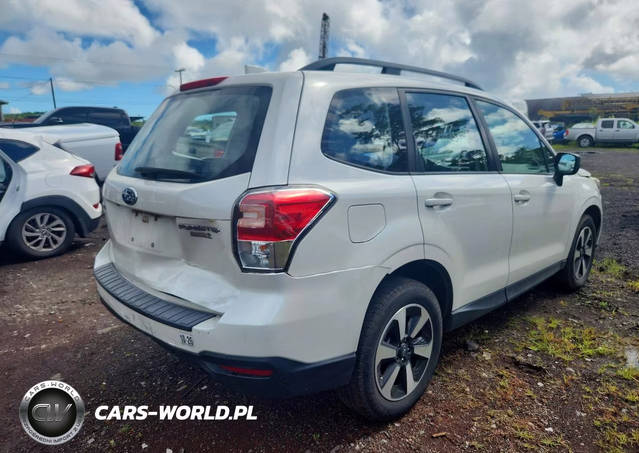 2017 Subaru Forester 2.5I VIN:JF2SJABC0HH446599 - 3