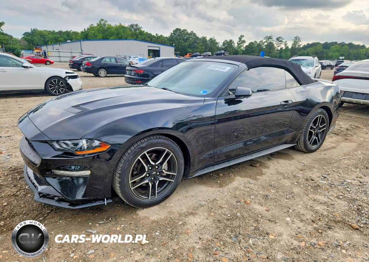 2023 Ford Mustang VIN:1FATP8UH6P5104244 - 1