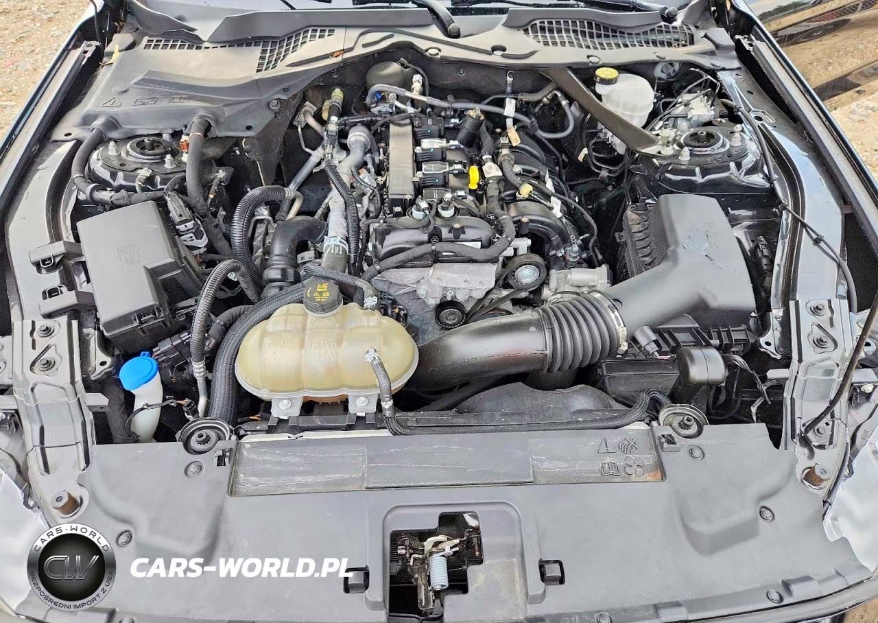 2023 Ford Mustang VIN:1FATP8UH6P5104244 - 11